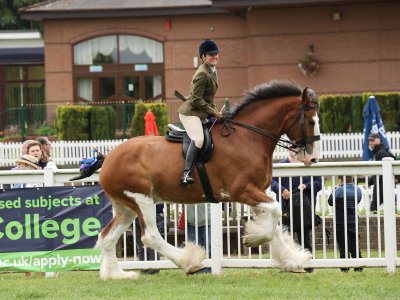 digital-low-resolution H44_6476.JPG digital-low-resolution H44_6476.JPG