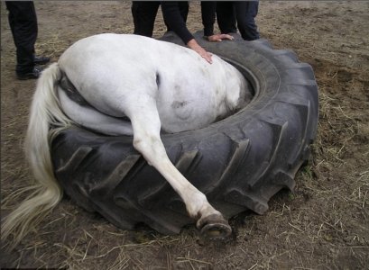 IMG_4166.jpeg IMG_4166.jpeg