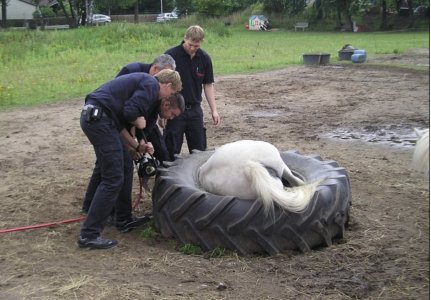 IMG_4167.jpeg IMG_4167.jpeg