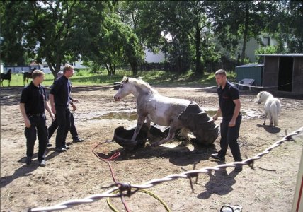 IMG_4168.jpeg IMG_4168.jpeg