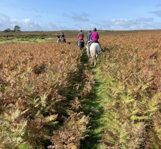 IMG_4170.jpeg IMG_4170.jpeg