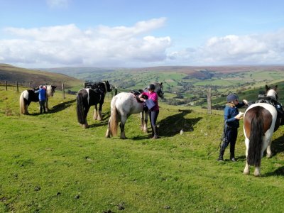 IMG_4173.jpg IMG_4173.jpg