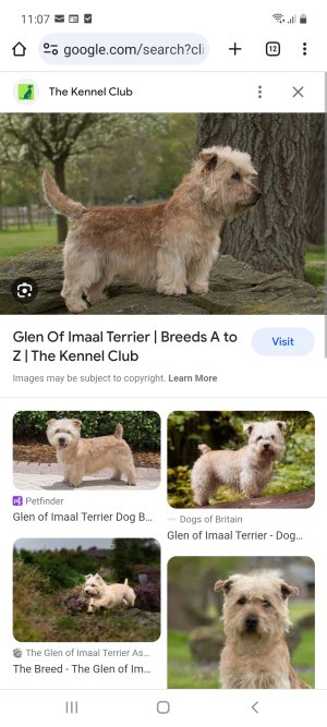 Screenshot_20231012-110759_Chrome.jpg