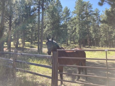 264B0C61-5967-4CC3-BFE3-669AC59A4497.jpeg 264B0C61-5967-4CC3-BFE3-669AC59A4497.jpeg