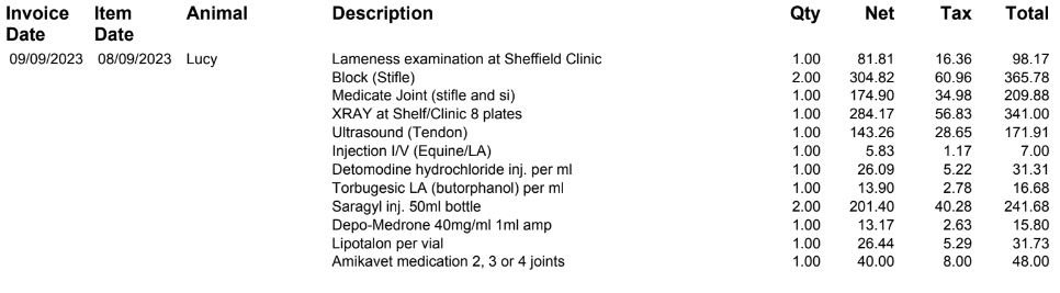Lucy Vet invoice.JPG