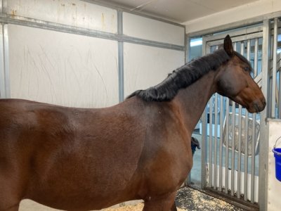 8E6FC4B0-B0D2-4548-896A-2A93916EEC8B.jpeg 8E6FC4B0-B0D2-4548-896A-2A93916EEC8B.jpeg