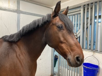 691466E5-E28A-41C2-B656-BD0F56AFF5A3.jpeg 691466E5-E28A-41C2-B656-BD0F56AFF5A3.jpeg