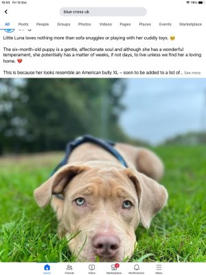 936509DF-4989-4394-9547-9BBDFC2FFD7C.jpeg 936509DF-4989-4394-9547-9BBDFC2FFD7C.jpeg