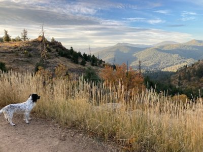 4FA2E707-4A56-4BB0-8DC2-B8D1C3A1C2E1.jpeg 4FA2E707-4A56-4BB0-8DC2-B8D1C3A1C2E1.jpeg