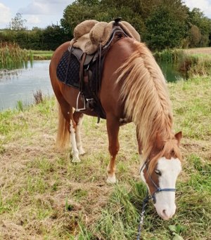 IMG_20231014_210210_785-03.jpeg IMG_20231014_210210_785-03.jpeg