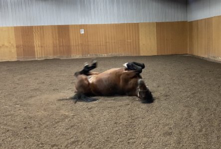 0D922D4E-D840-4AFF-A42C-436949C87A58.jpeg 0D922D4E-D840-4AFF-A42C-436949C87A58.jpeg