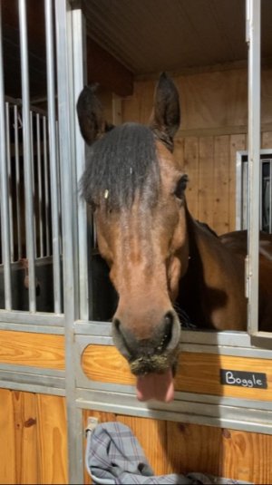 4BBC5EC0-0DE8-4773-9E64-50FEDA2CA26B.jpeg 4BBC5EC0-0DE8-4773-9E64-50FEDA2CA26B.jpeg