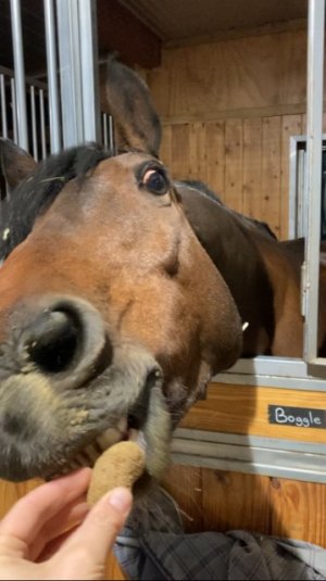 7749D677-5285-44FC-B58E-ACA70C7A9C3D.jpeg 7749D677-5285-44FC-B58E-ACA70C7A9C3D.jpeg