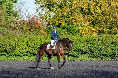 Chilli 14 Oct low res 1.jpeg