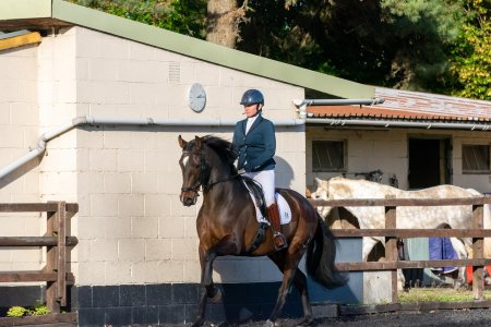 Chilli 14 Oct low res 2.jpeg