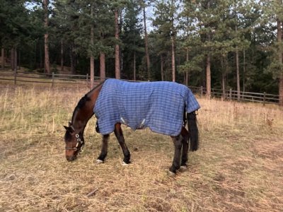 B86C8F4B-8231-494D-AEBC-6A46EDED3CF1.jpeg B86C8F4B-8231-494D-AEBC-6A46EDED3CF1.jpeg