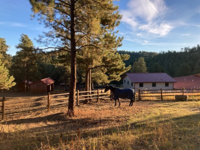 ED6FAF65-899F-4DF1-829D-F9FB49613067.jpeg ED6FAF65-899F-4DF1-829D-F9FB49613067.jpeg