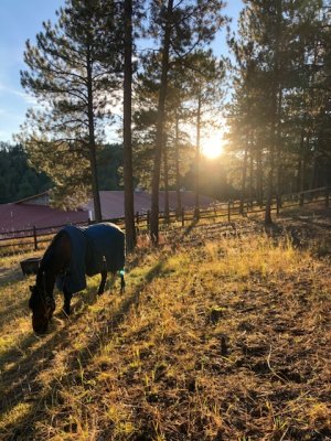 C93B0B2B-5D2F-401A-86C0-44CDC8D1D43B.jpeg C93B0B2B-5D2F-401A-86C0-44CDC8D1D43B.jpeg