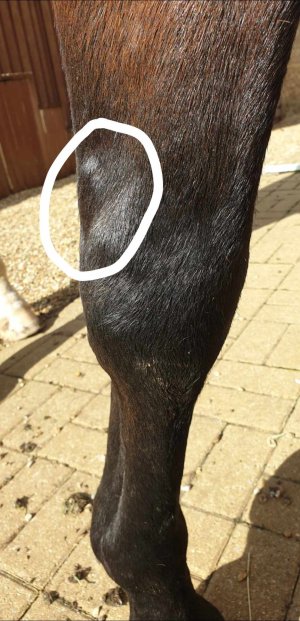 received_657139669840890.jpeg received_657139669840890.jpeg