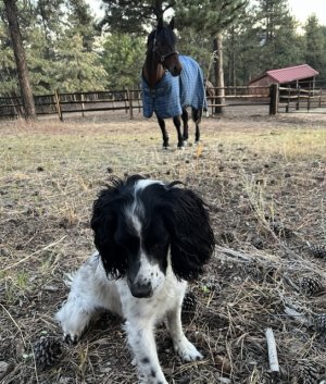 960FCBA5-2664-43B6-95A6-0F906E838204.jpeg 960FCBA5-2664-43B6-95A6-0F906E838204.jpeg