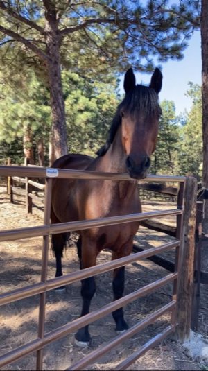 6B18A238-82BA-4ADC-847C-A97ED8B08807.jpeg 6B18A238-82BA-4ADC-847C-A97ED8B08807.jpeg