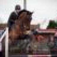 Hillgarthblackgold96