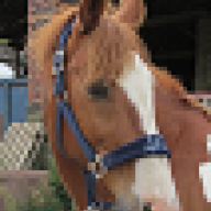 Woolly Hat n Wellies