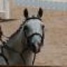 irishdream