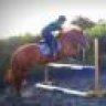 hotpointshowjumper