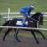 Black Caviar