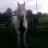 horselover1012
